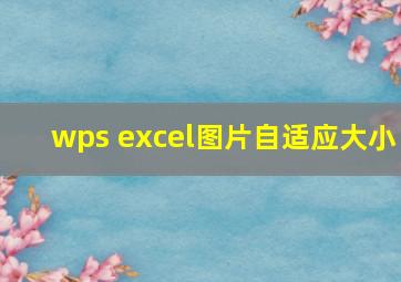 wps excel图片自适应大小